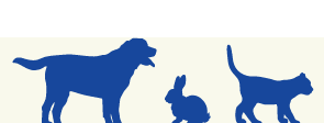 Logo mit Hund, Hase, Katze